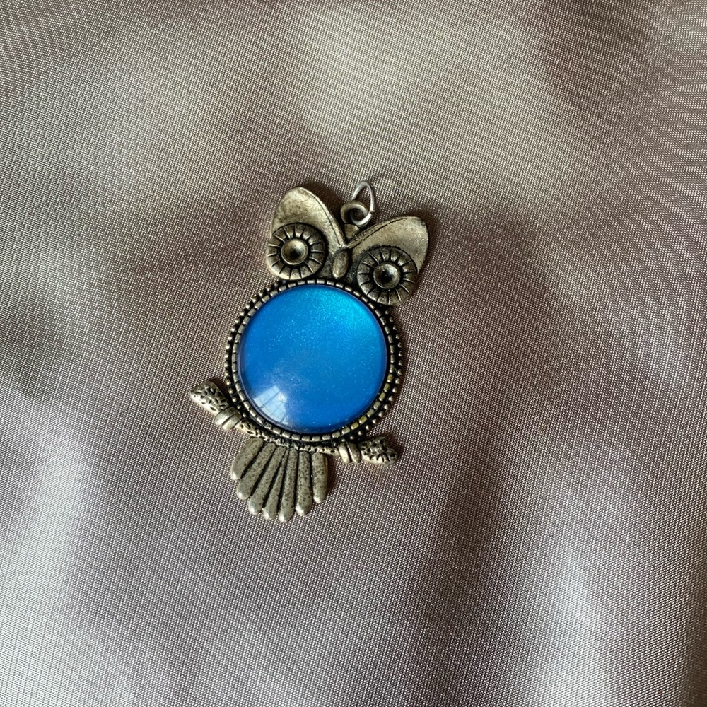Silver and blue owl charm